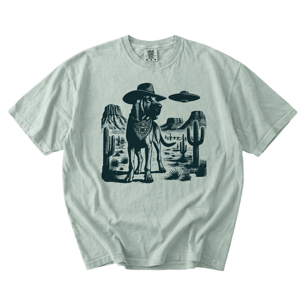 Bloodhound Western UFO t-shirt