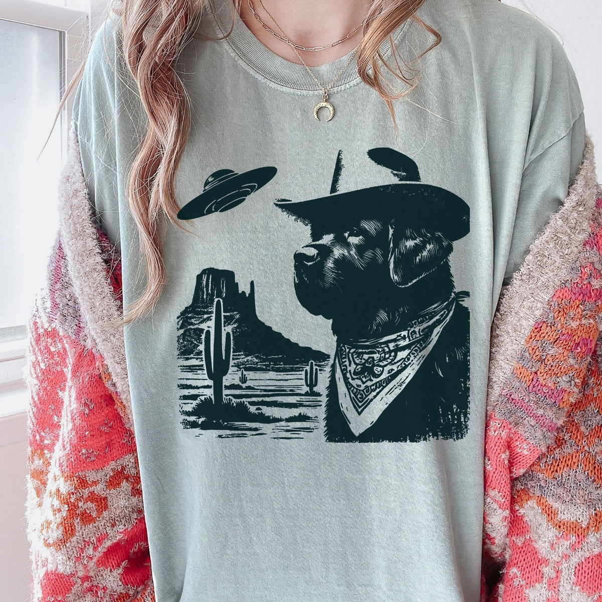 Newfoundland Western UFO t-shirt