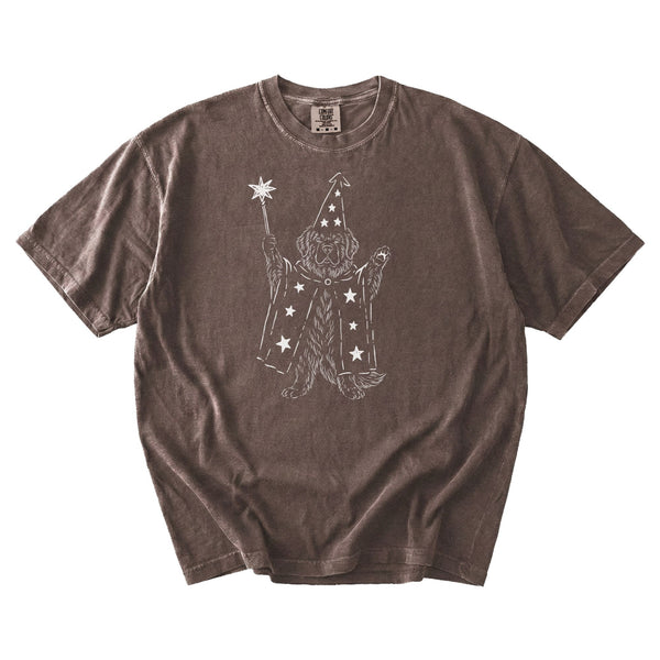 Newfoundland wizard t-shirt